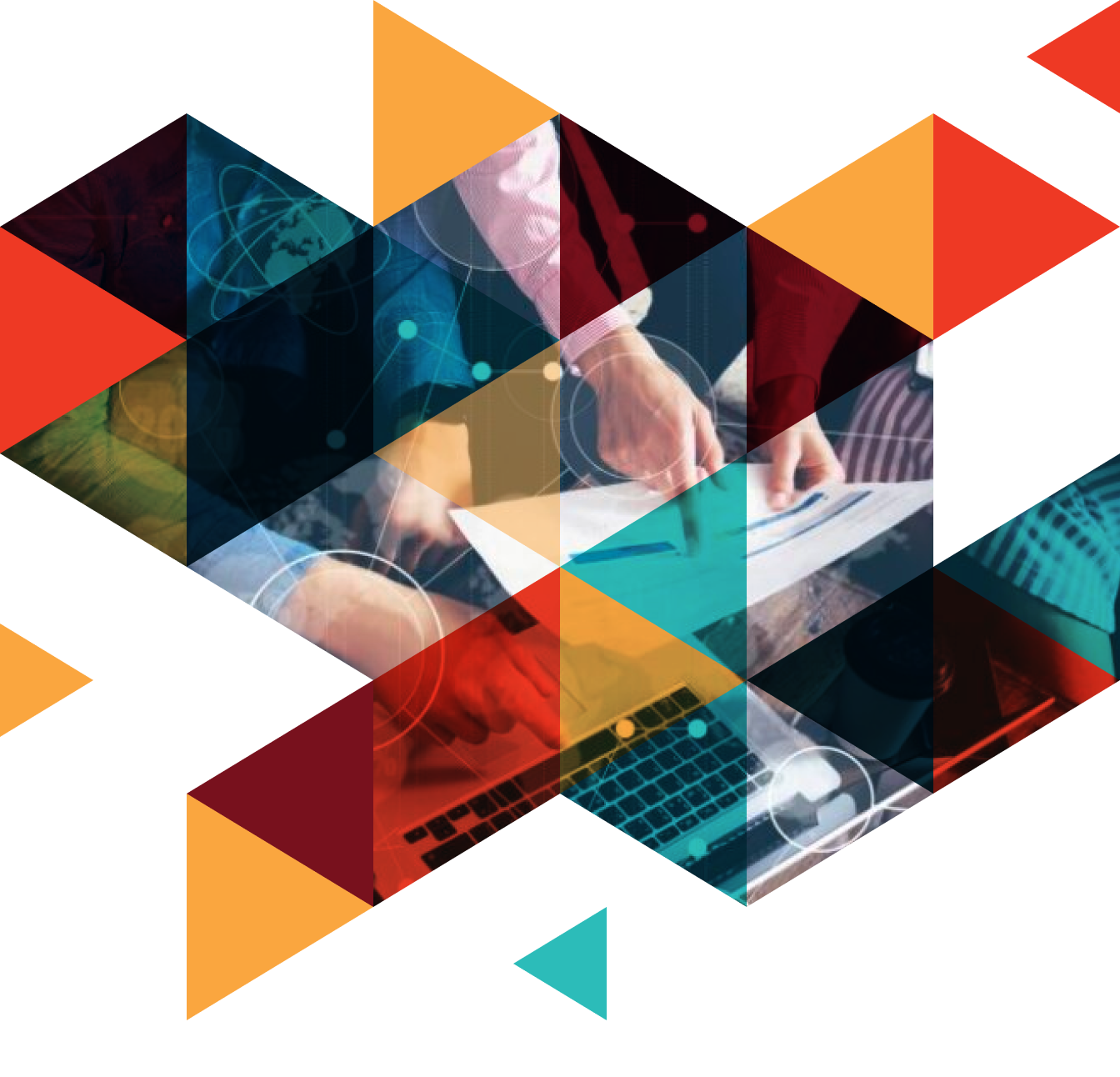 expertiza_specifica_2x