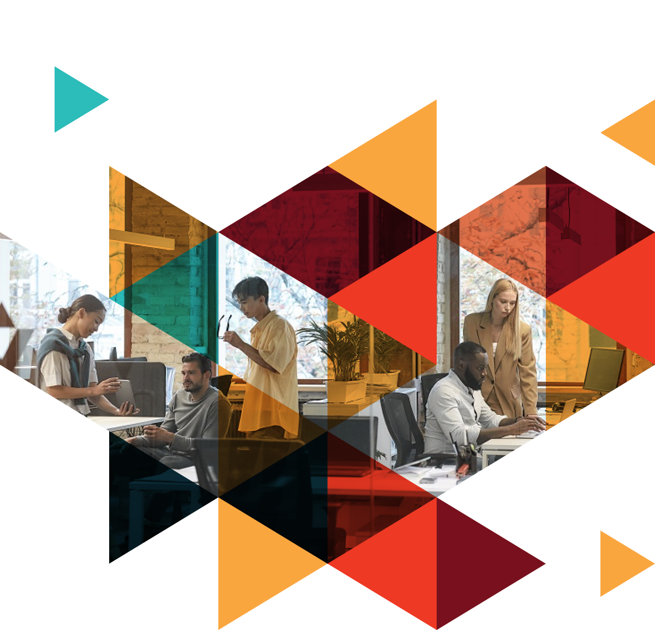 tineri_si_curiosi_2x